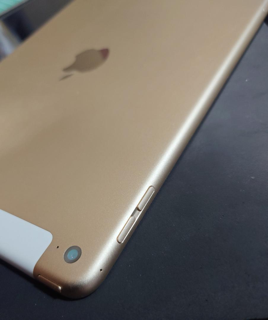 iPad Air2 16GB Cellularモデル ゴールド A1567 Gold 16 GB iPad Air 2