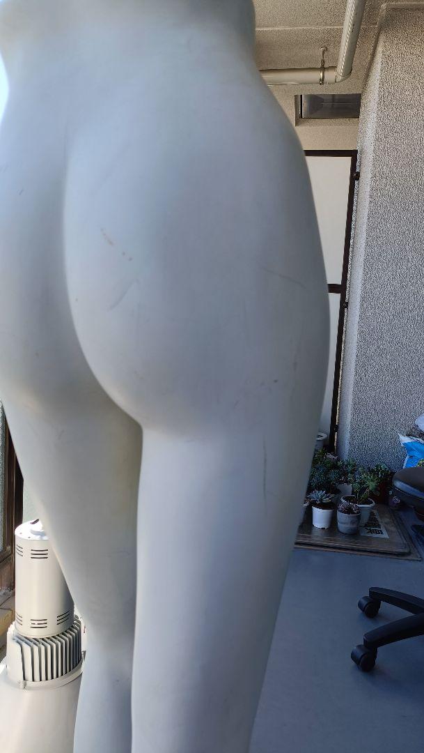 レディース パンツ トルソー 白 女性 下半身 ボトム マネキン ディスプレイ