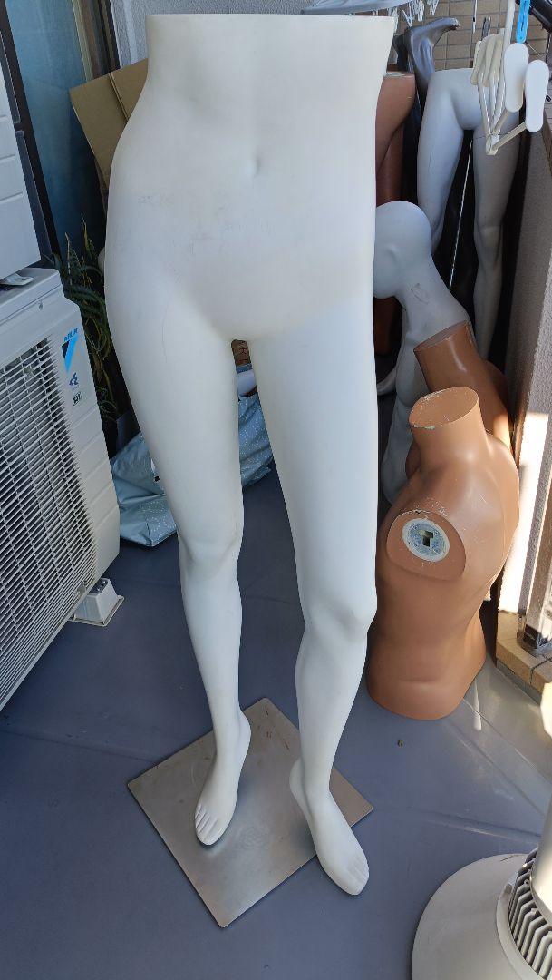 レディース パンツ トルソー 白 女性 下半身 ボトム マネキン ディスプレイ
