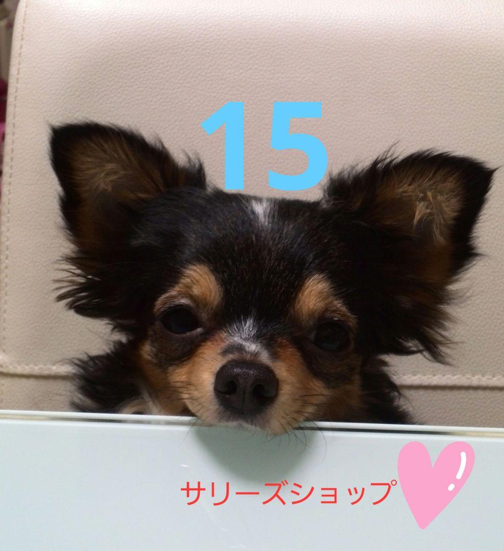 専用❗6点おまとめ