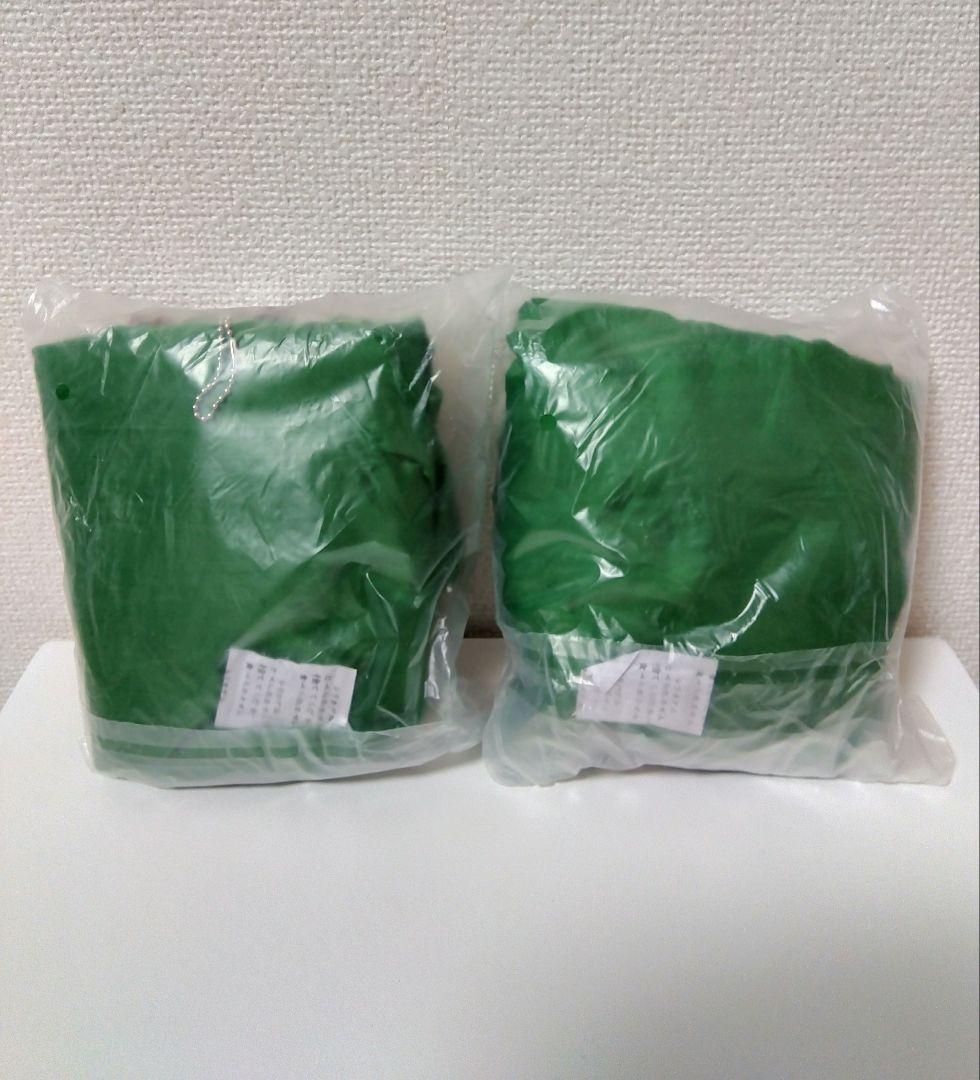 ２個セット ゼスプリ キウイブラザーズ ぬいぐるみエコバック 付録のみ