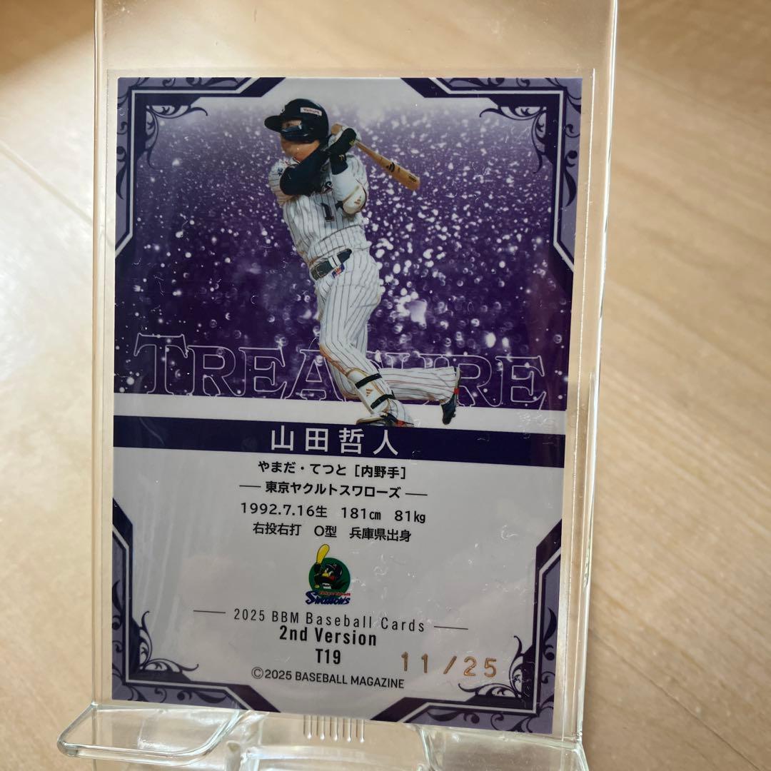 山田哲人 Treasure