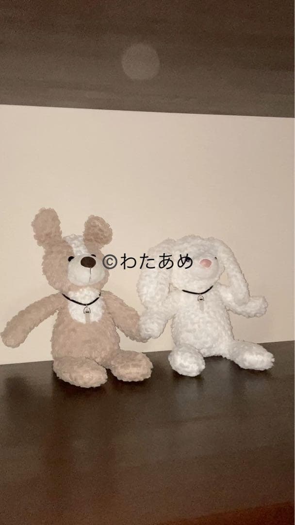 座敷わらしの御霊が宿るぬいぐるみ(白うさぎ)＋水晶ネックレス 座敷童子