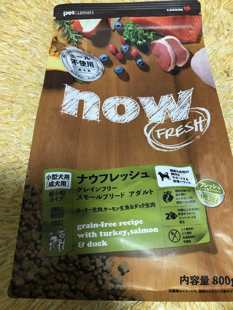 ナウフレッシュ　Now  ペットフード　スモールブリード　アダルト　ご飯　犬