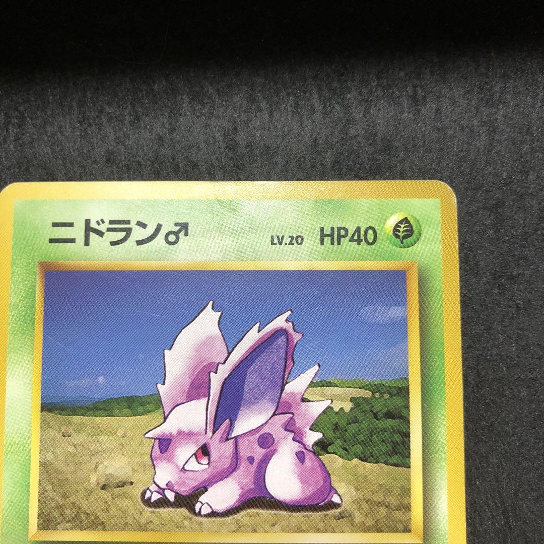 ポケモンカード ポケカ 旧裏 初版 ニドラン♂ PSA6 - メルカリ
