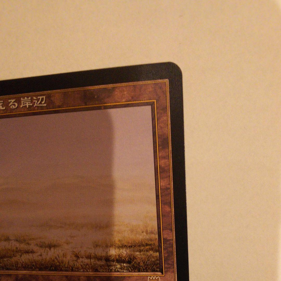 高評価安い MTG 溢れかえる岸辺 VM8PS-m79594166905 本物保証格安