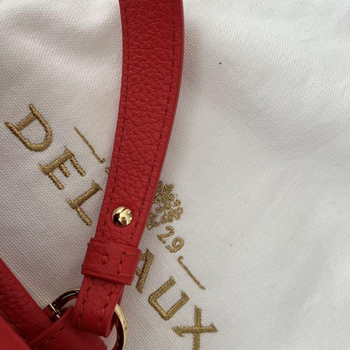 ゆきち様専用Delvaux Pin Mini Bucket fire パンミニ by メルカリ