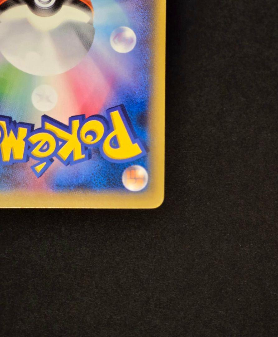 ポンチョを着たピカチュウ　レックウザ　2枚set