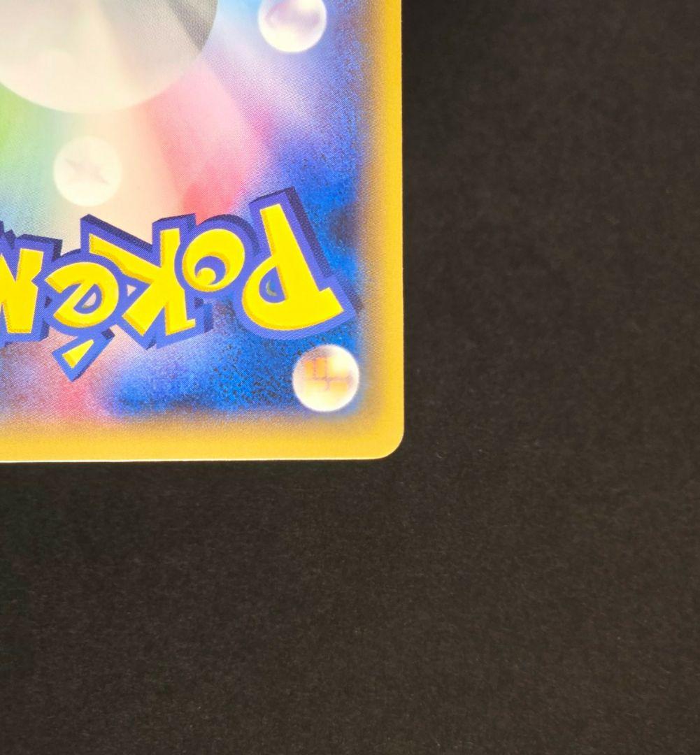 ポンチョを着たピカチュウ　レックウザ　2枚set