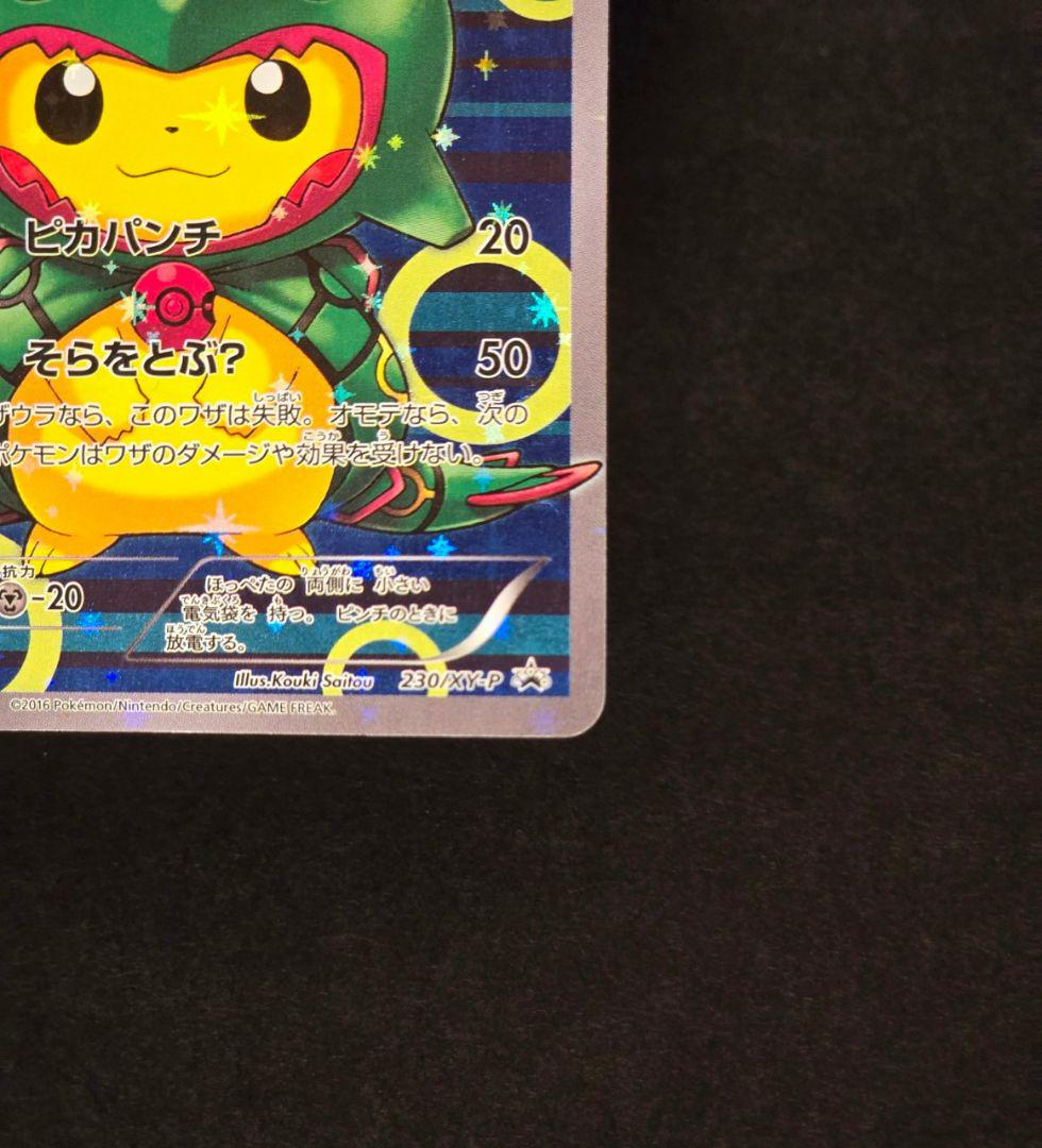 ポンチョを着たピカチュウ　レックウザ　2枚set
