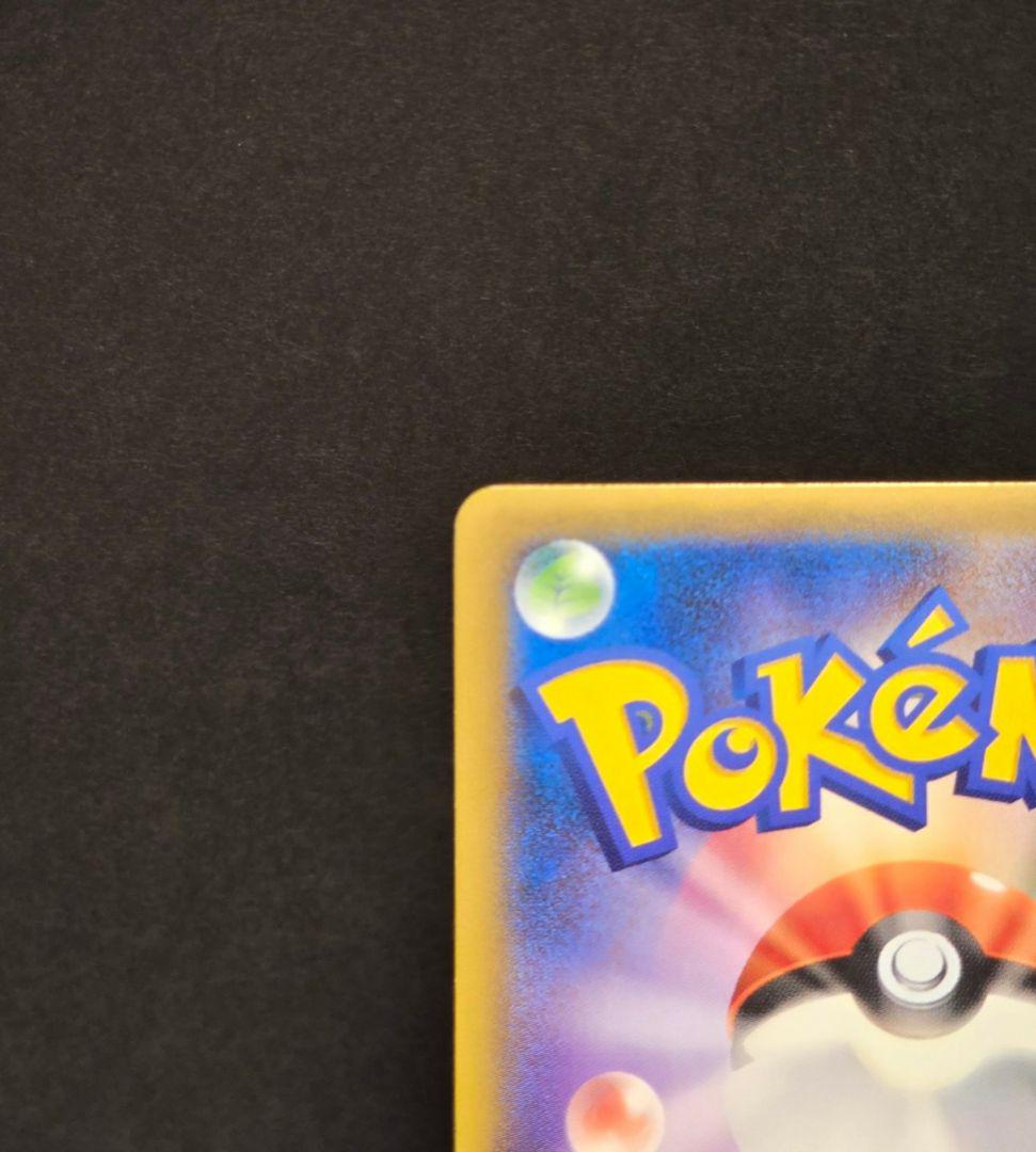 ポンチョを着たピカチュウ　レックウザ　2枚set