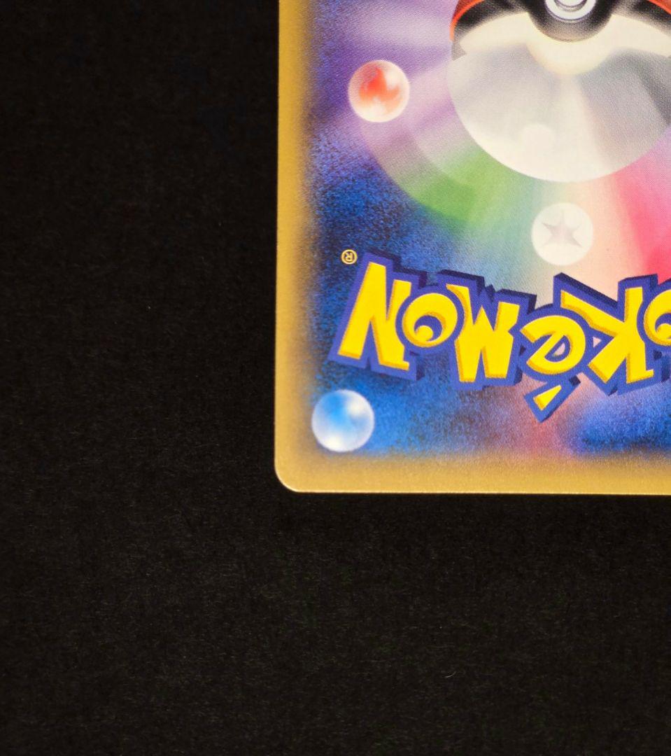 ポンチョを着たピカチュウ　レックウザ　2枚set
