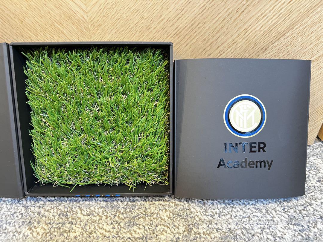 インテル　ミラノ　サン・シーロ　芝生　レア品 Inter Milan