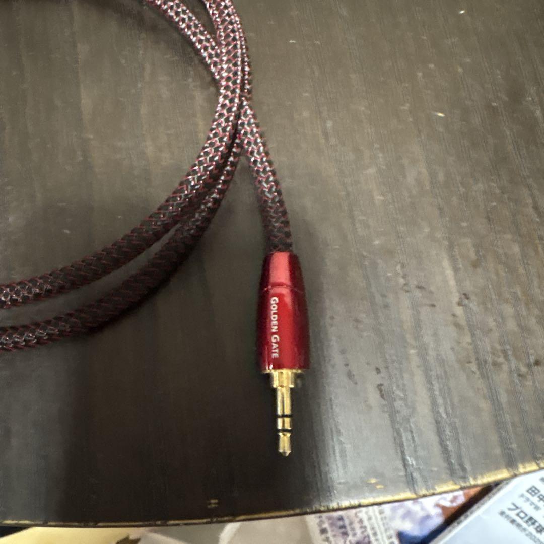 AUDIO QUEST GOLDEN GATE インターコネクトケーブル 1m