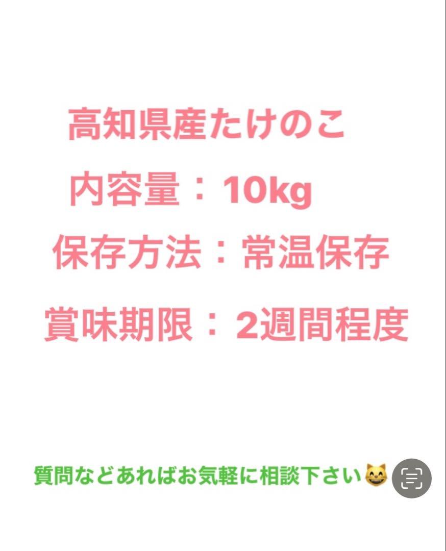 たけのこ約10kg 7480円