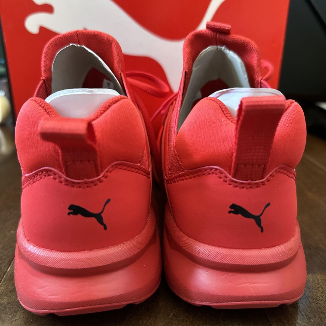 PUMA SOFT FOAM 24cm エンゾ2ウェブ　新品未使用