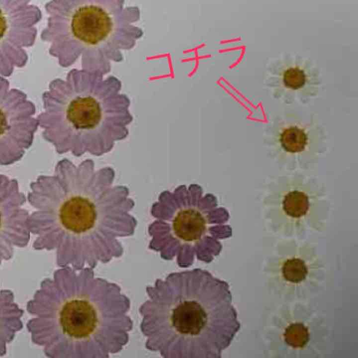 とも様よろしくお願いします