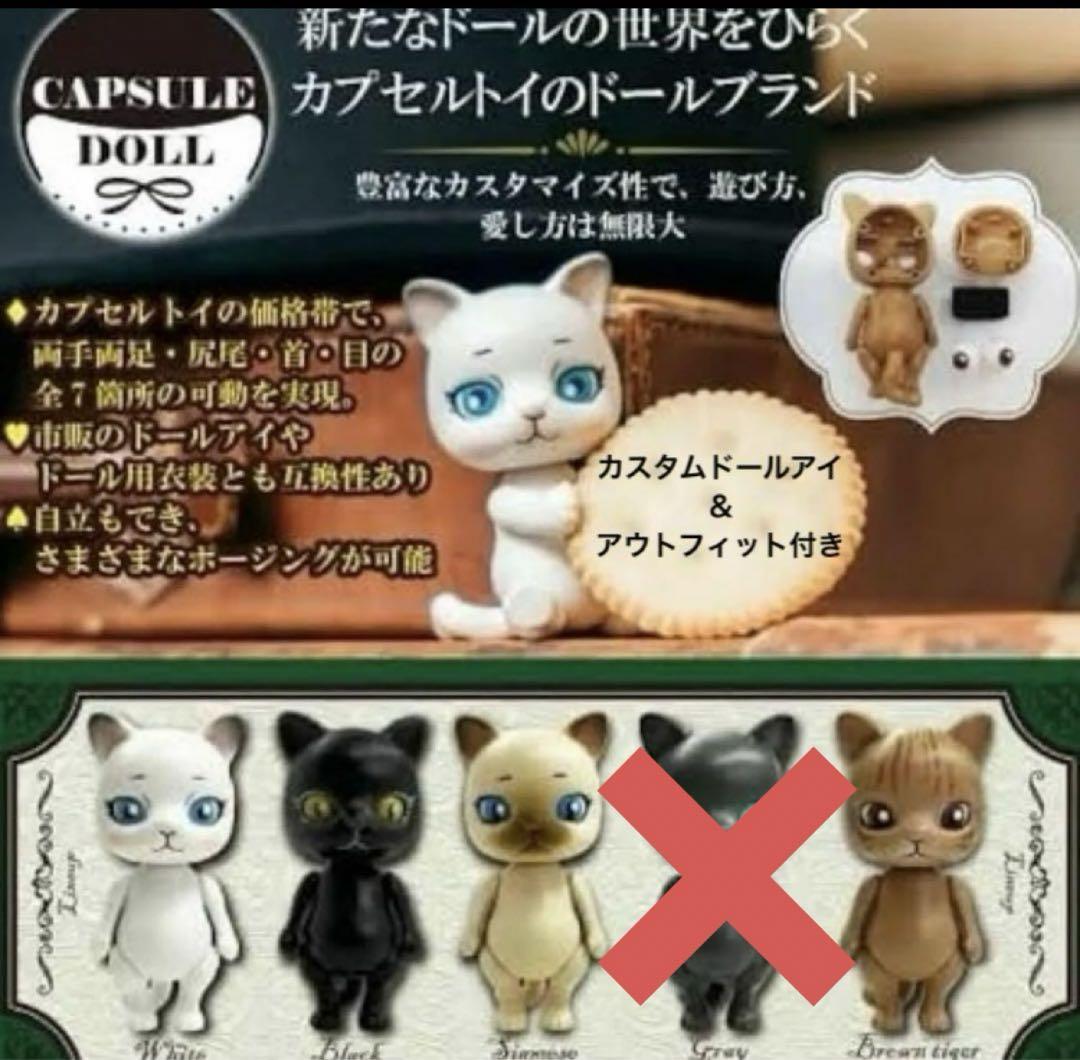 Amazon | 全5種CAPSULE DOLL カプセル ドール VOL.1ガチャ
