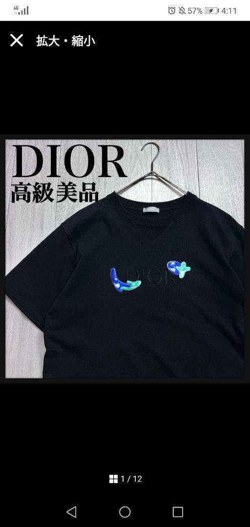 【超高級モデル☆刺繍デザイン】ディオールオム 肉厚 ロゴTシャツ 半袖 入手困難