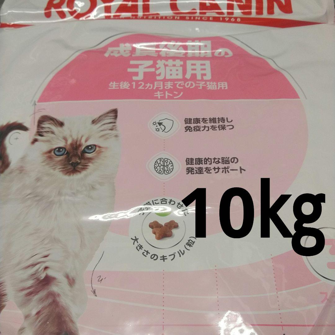 ロイヤルカナン 成長後期の子猫用 ドライフード 10㎏