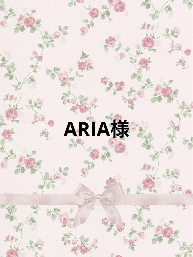 ARIA様専用•*¨*•.¸︎