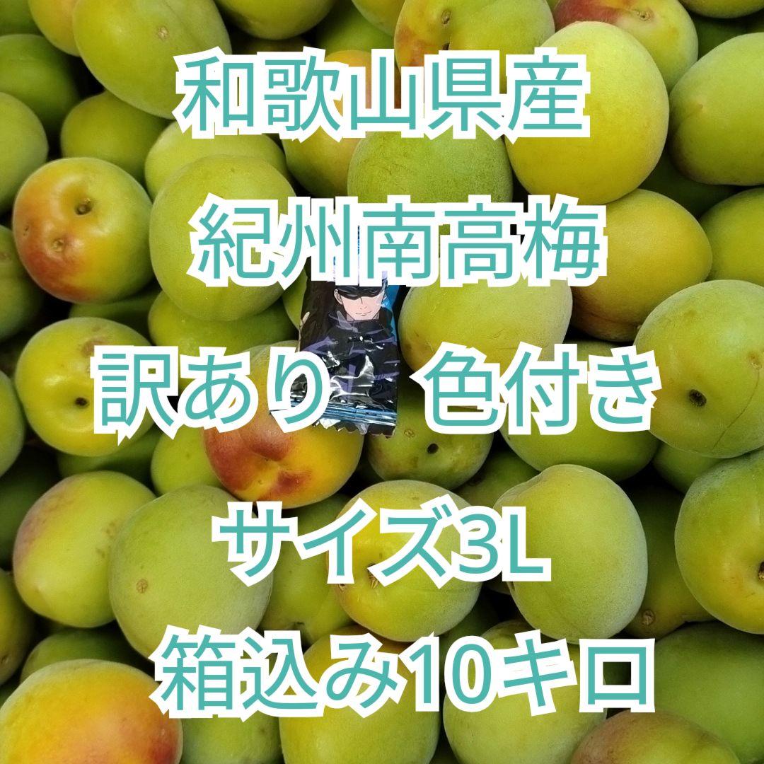 和歌山県産　紀州南高梅　サイズ3L　訳あり　少し色付き　箱込み10キロ　青梅