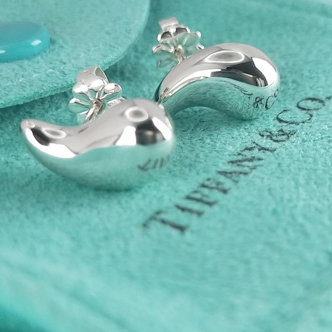 ピアス 1757