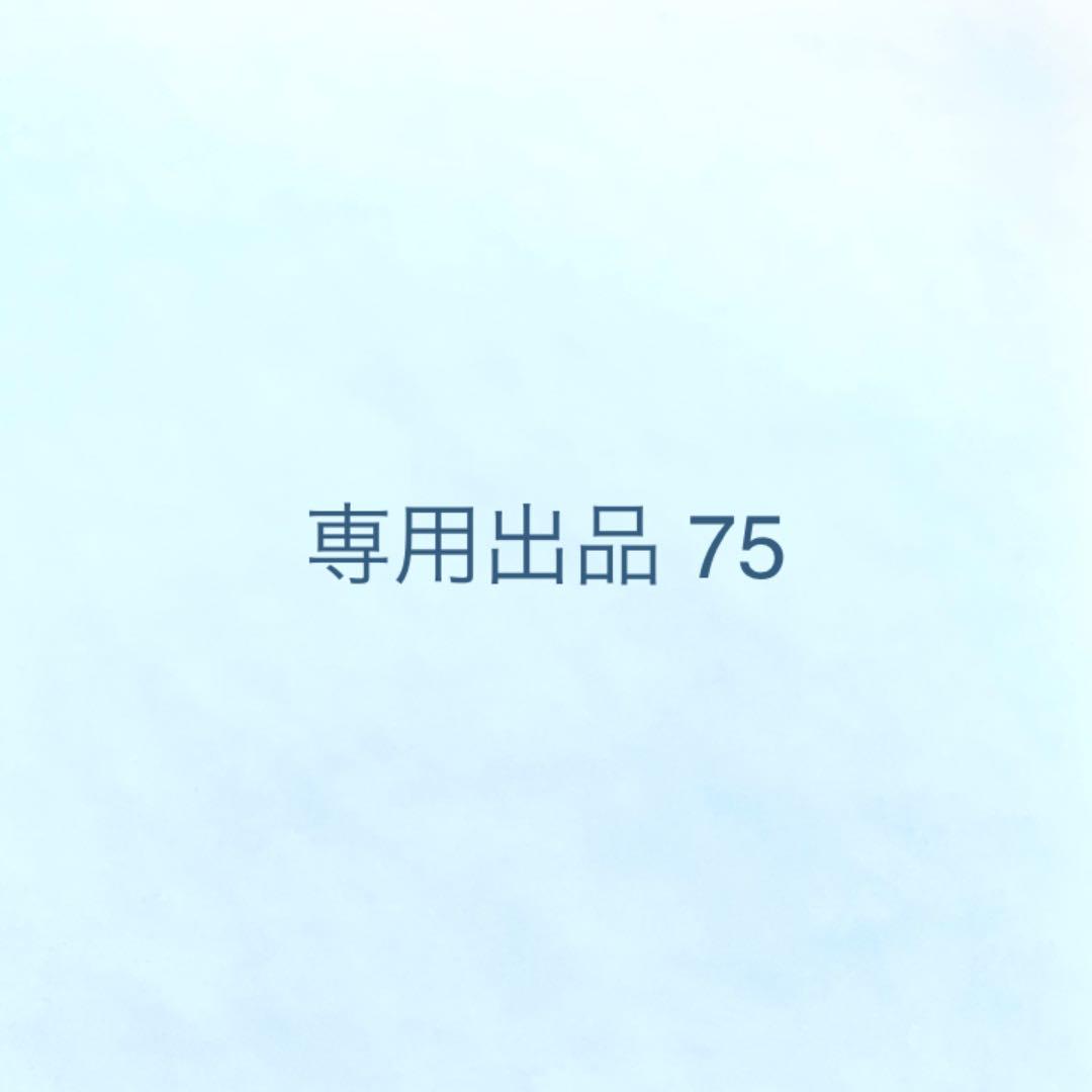 あきにゃんにゃん様専用
