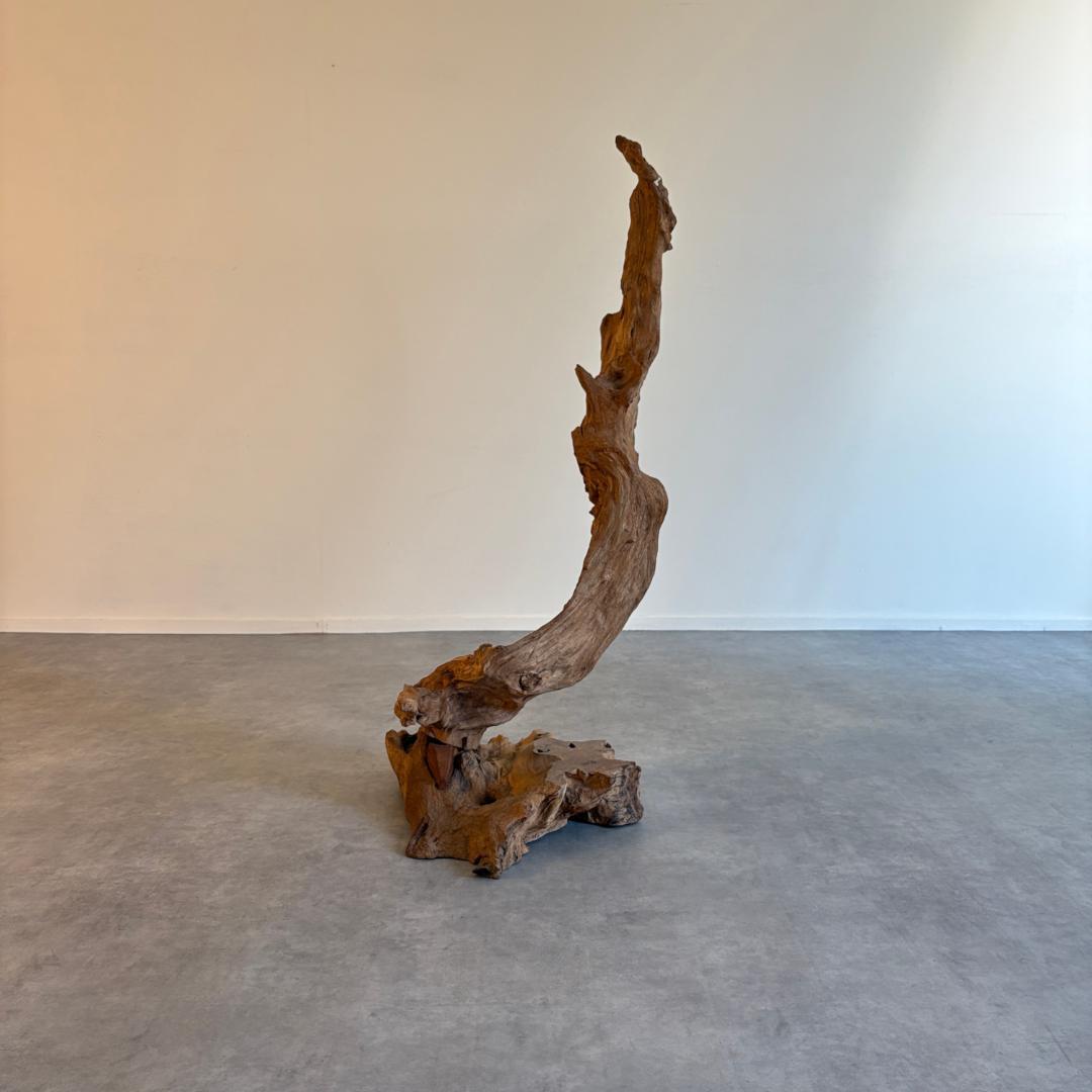 ご神木 インテリア オブジェ 生け花 モダンアート ご神木 インテリア オブジェ 生け花 モダンアート