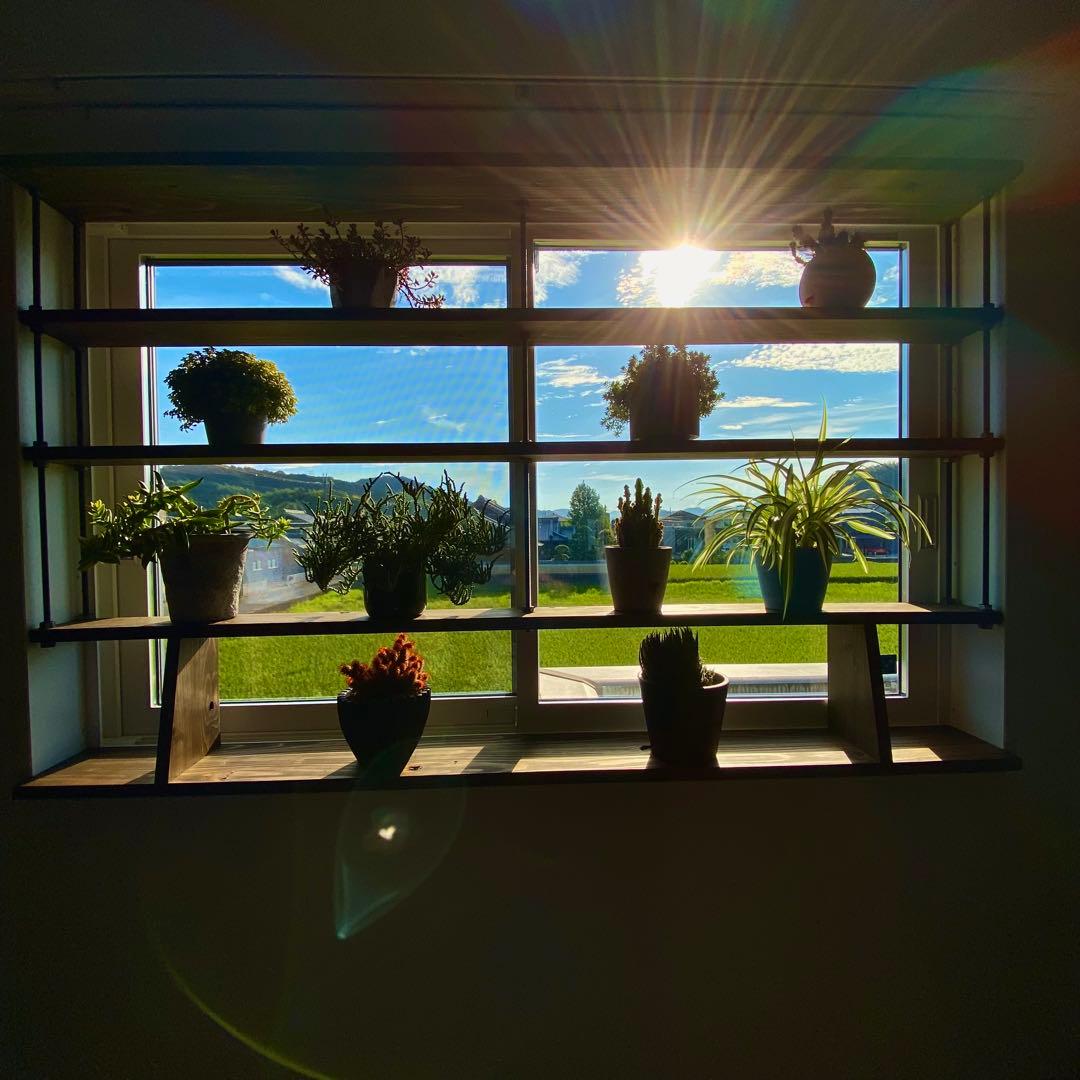 TVにて紹介されました 突っ張れて倒れない　窓枠ラック　tasty 3