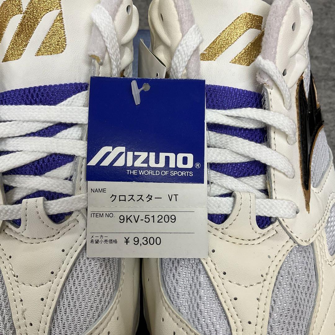 MIZUNO ミズノ バレーボールシューズ ミズノシューズ シューズ