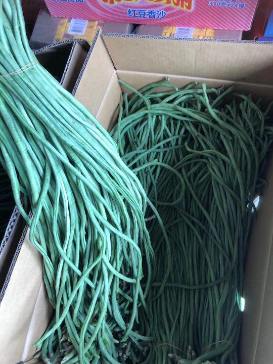 から厳選した 千葉産ササゲ 千葉産新鮮ササゲ 2kg - 野菜 - www.smithsfalls.ca から厳選した 千葉産ササゲ 千葉産新鮮ササゲ 2kg - 野菜 - www.smithsfalls.ca