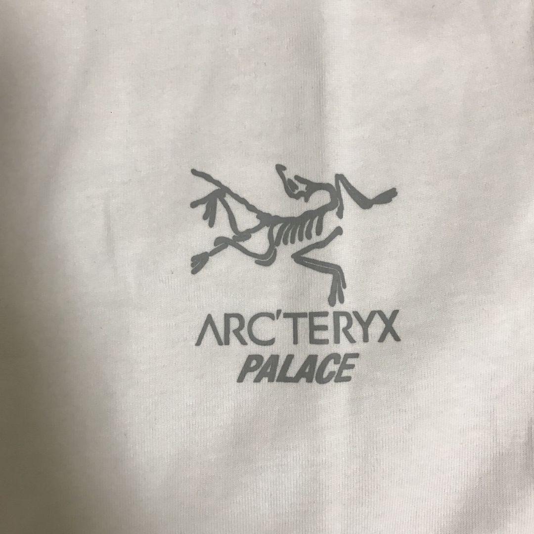 新作モデル Arc'teryx × 【限定品】Palace コラボ Lサイズ Tシャツ T