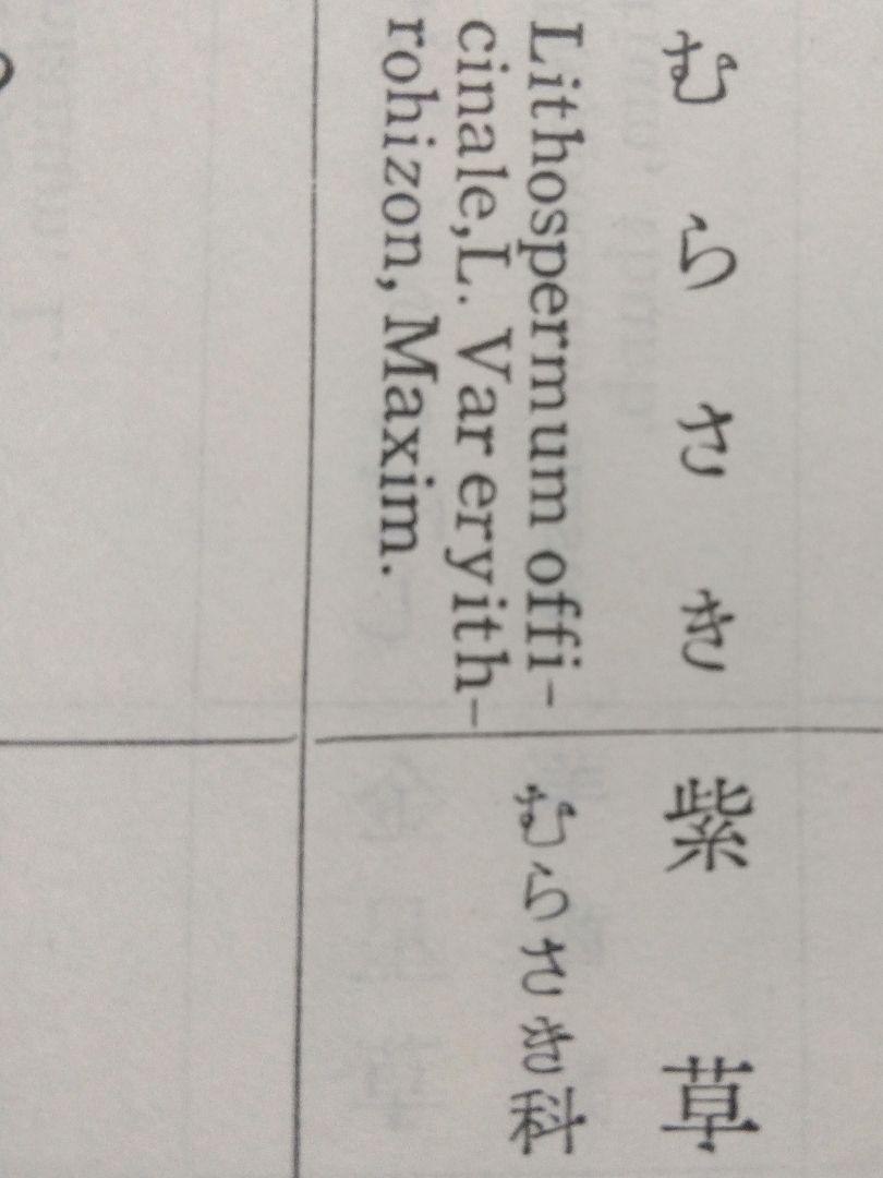 ◈ ニホンムラサキ