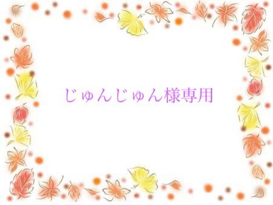 じゅんじゅん様専用