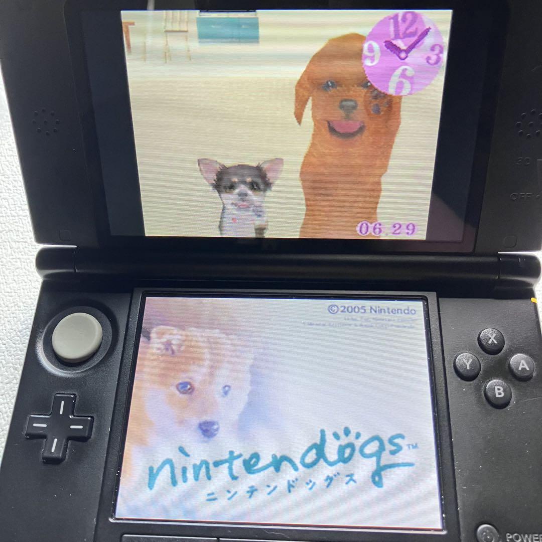 gt【動作確認済】NintendoDS ニンテンドックス2本セット - メルカリ