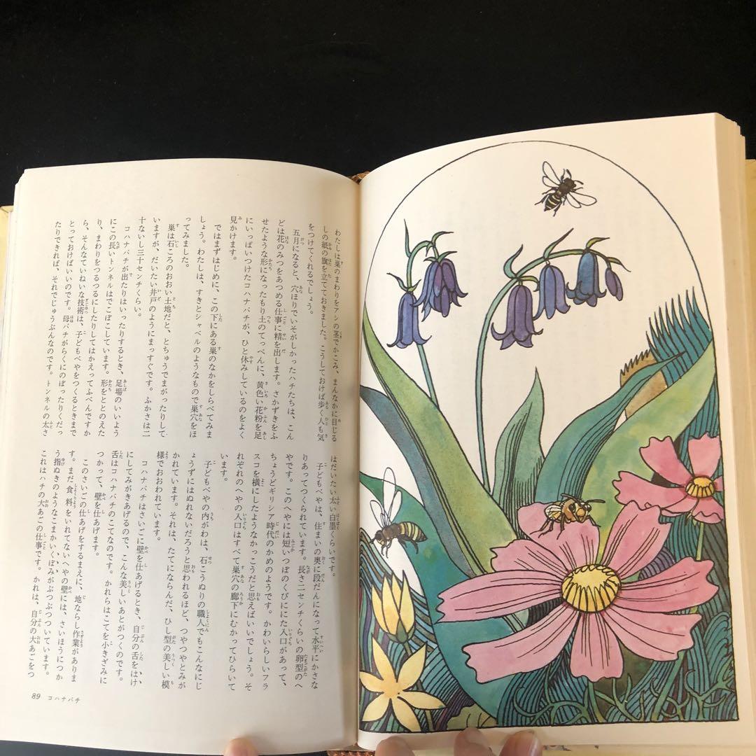 古書　昆虫記　カラー版　少年少女世界の文学　河出書房 カラー版 少年少女世界の文学 全24巻＋別巻2 計26冊揃 / 古本