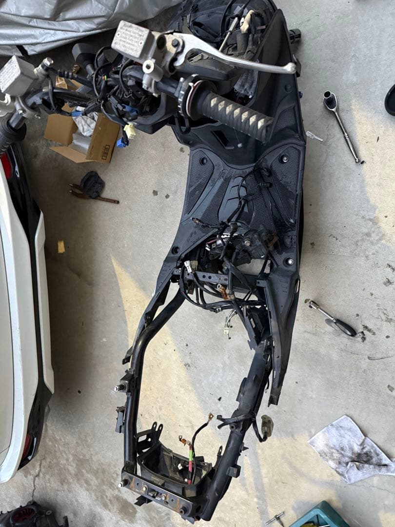 シグナス5型フレーム ステム付き 堺北花田 フレーム曲がりなし シグナス5型フレーム ステム付き 堺北花田 フレーム曲がりなし