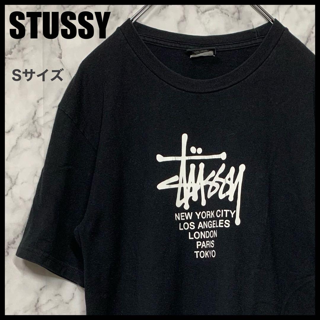 STUSSY ステューシー ワールドツアー 半袖 Tシャツ ビック