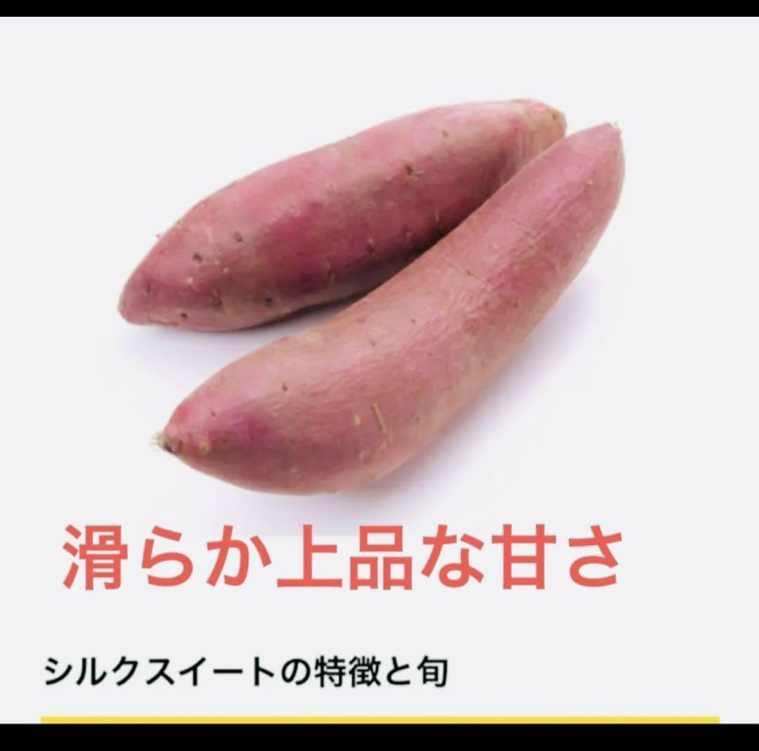 アテッサ新作モデル シルクスイート芋苗300本セール - メルカリ 葉菜