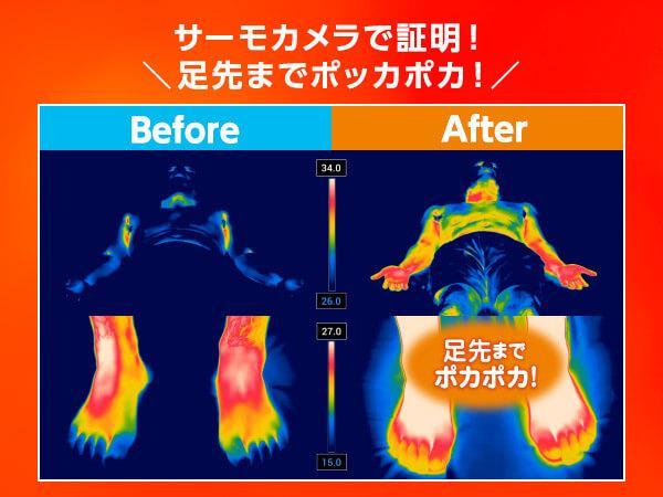 トゥルースリーパー ホオンテック掛け布団 プレミアム (シングルロング)