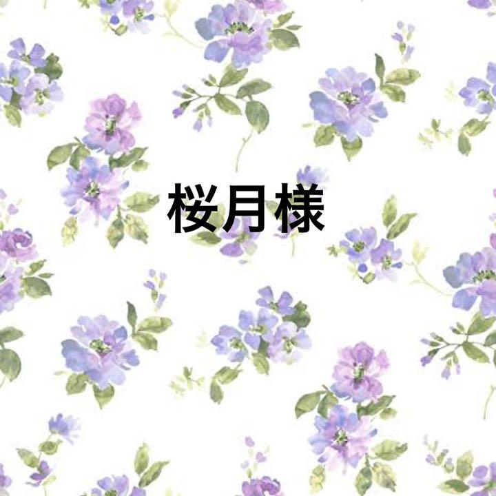 ☆桜月様専用ぺージ☆