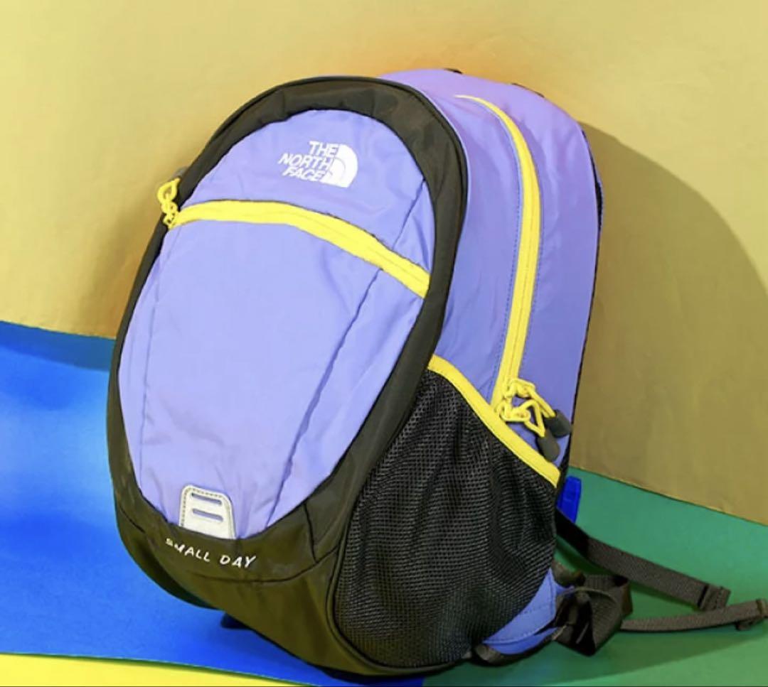 THE NORTH FACE SMALL DAY リュック 15Lサイズ