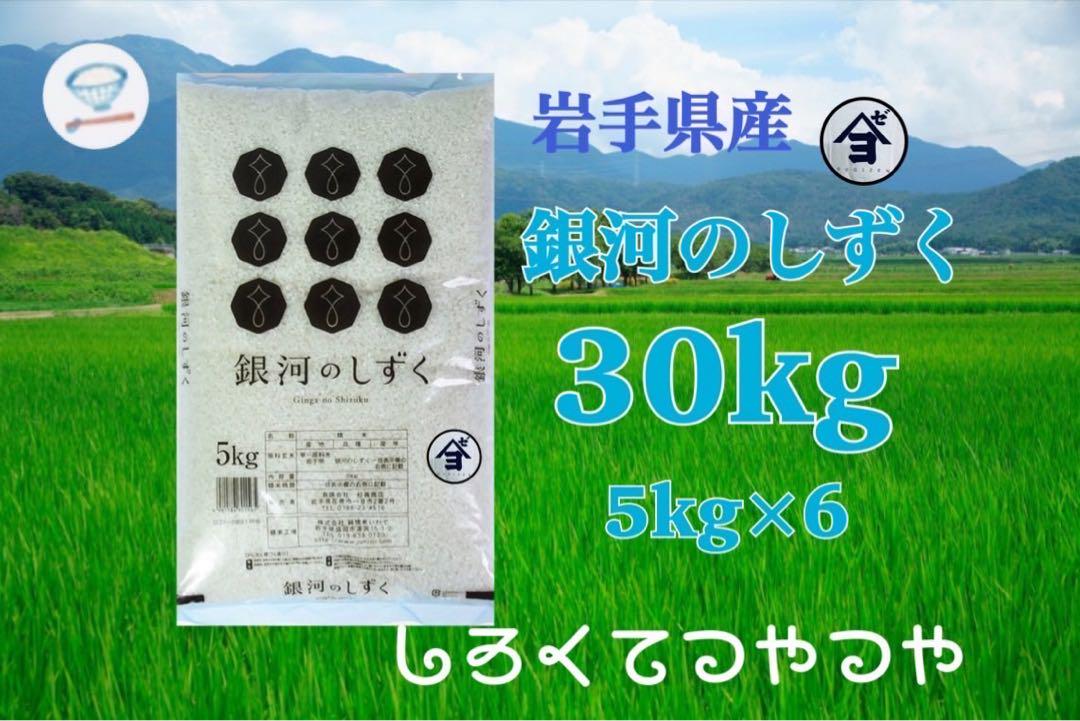 お米　精米【岩手県産銀河のしずく30kg 】5kg×6 7年連続特A！