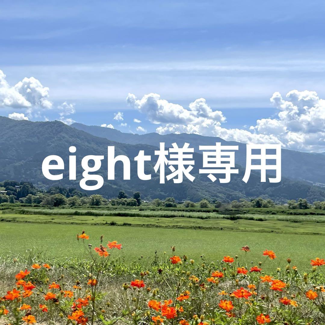 eight様専用 画像1