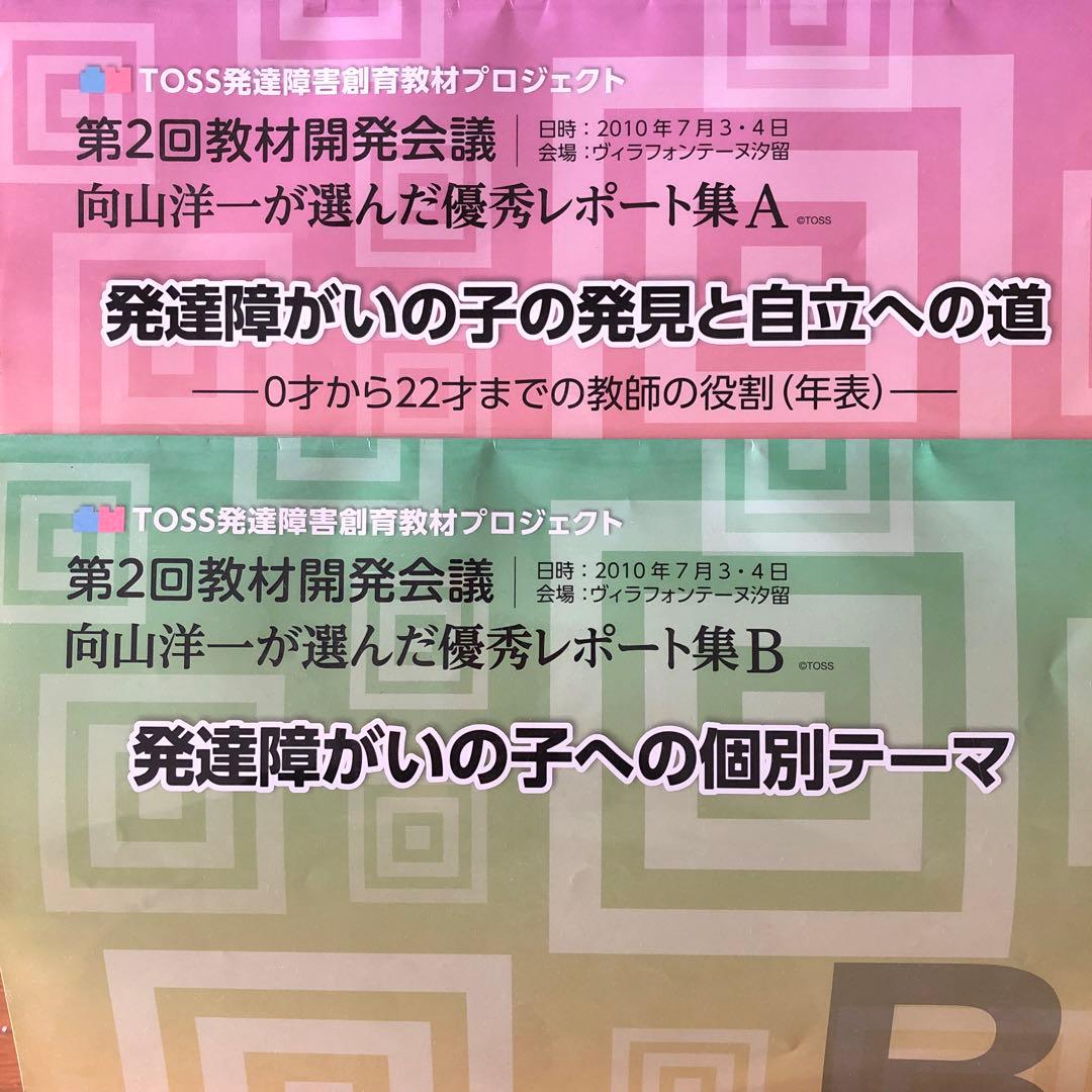 向山洋一が選んだ優秀レポート集　発達障がいの子の発見と自立への道　個別テーマ