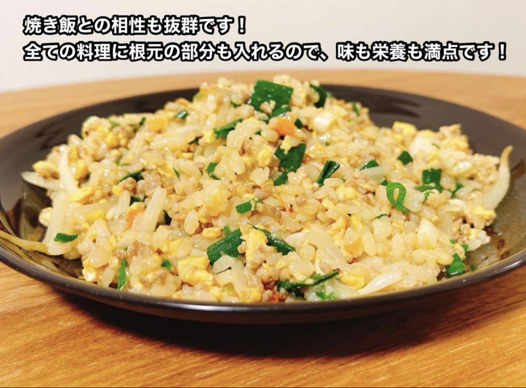 高知県産葉にんにく 葉ニンニク 野菜 産地直送20kg dwjmu