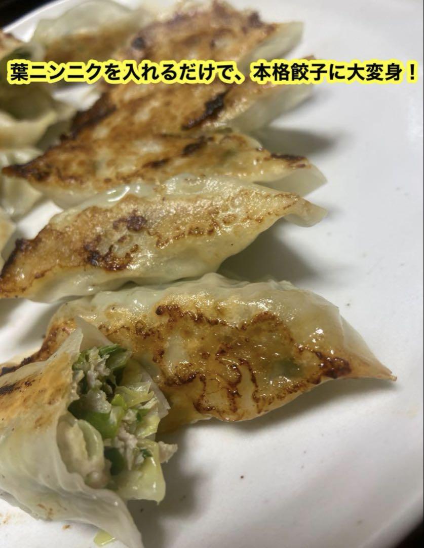高知県産葉にんにく 葉ニンニク 野菜 産地直送20kg dwjmu