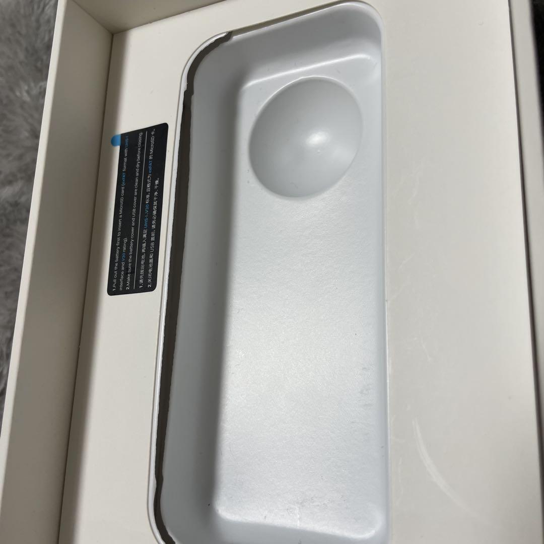 本体