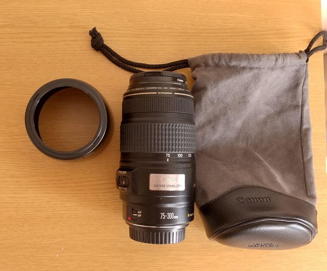 新作超激得 Canon EF 75-300mm IS hSxt6-m79985046826 人気SALE豊富な